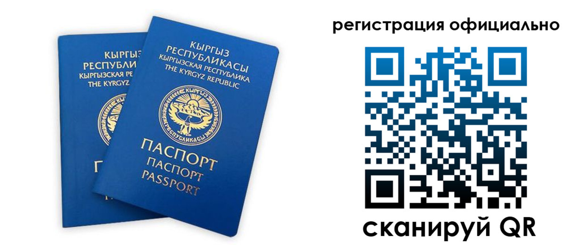 прописка поиск в Жирновске